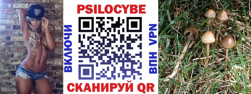 Псилоцибиновые грибы Psilocybe  как найти наркотики  Губаха 